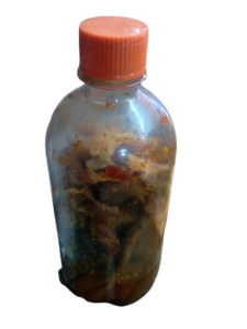 SÁBALO PODRIDO EN ACEITE DE PESCADO